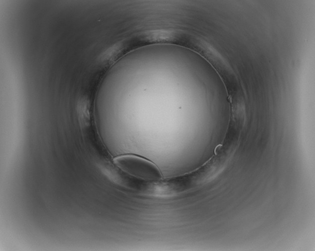 X0000111240264200907021417