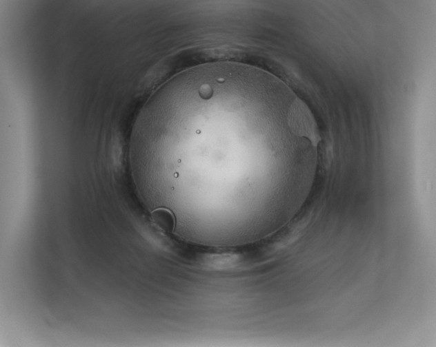 X0000111240266200907021417