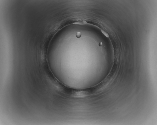 X0000111240268200907021417