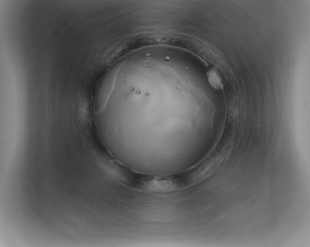 X0000111240270200907021417
