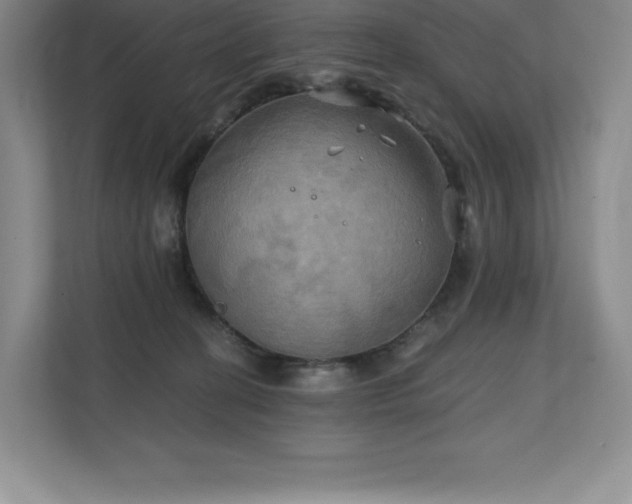 X0000111240274200907021417