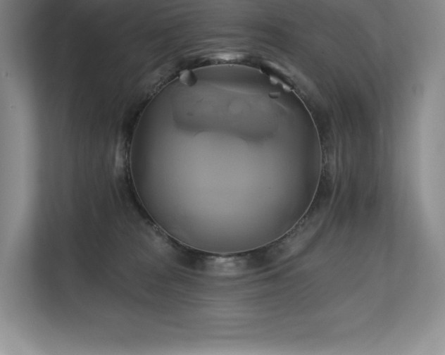 X0000111240277200907021417