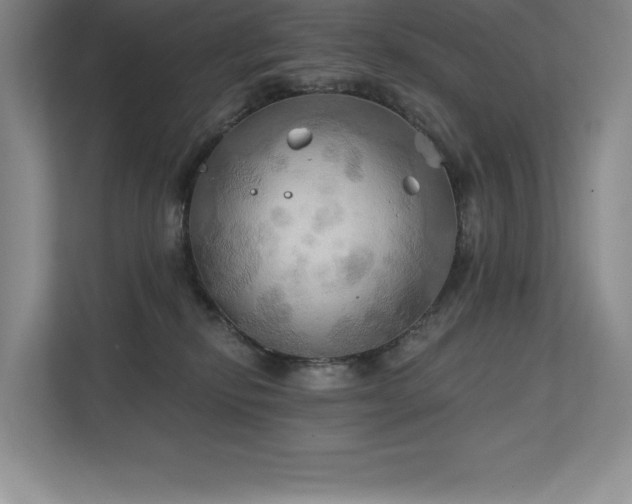 X0000111240278200907021417