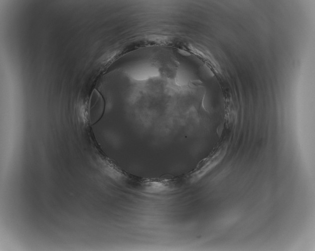 X0000111240285200907021417