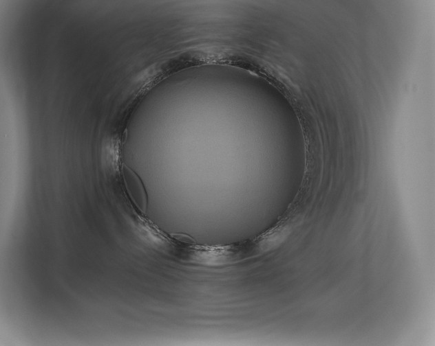X0000111240288200907021417
