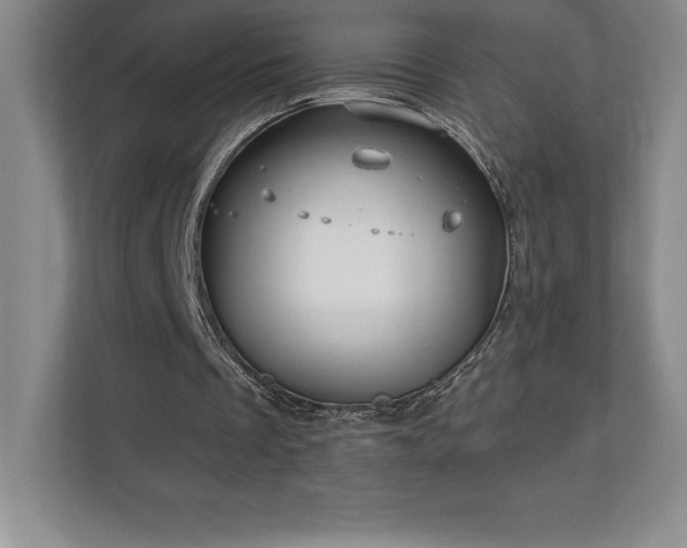 X0000111240289200907021417