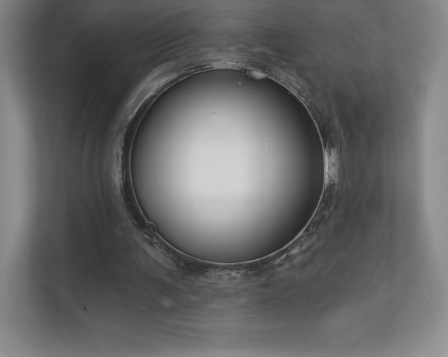 X0000111240291200907021417