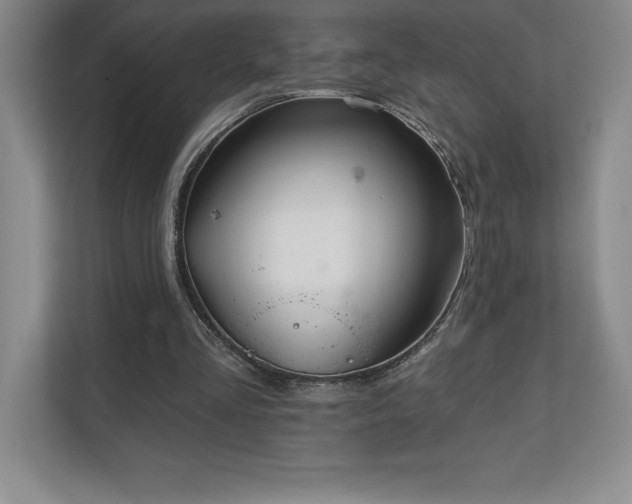 X0000111240293200907021417