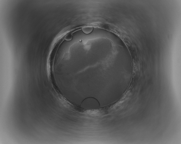 X0000111240294200907021417