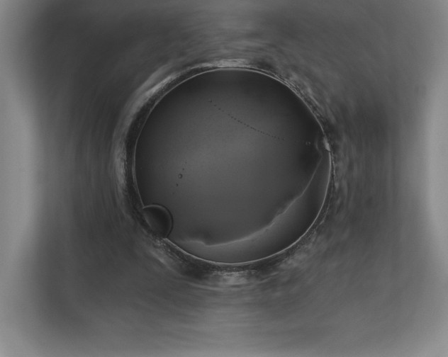 X0000111240295200907021416