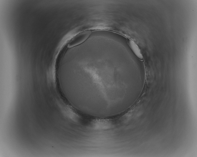 X0000111240296200907021416