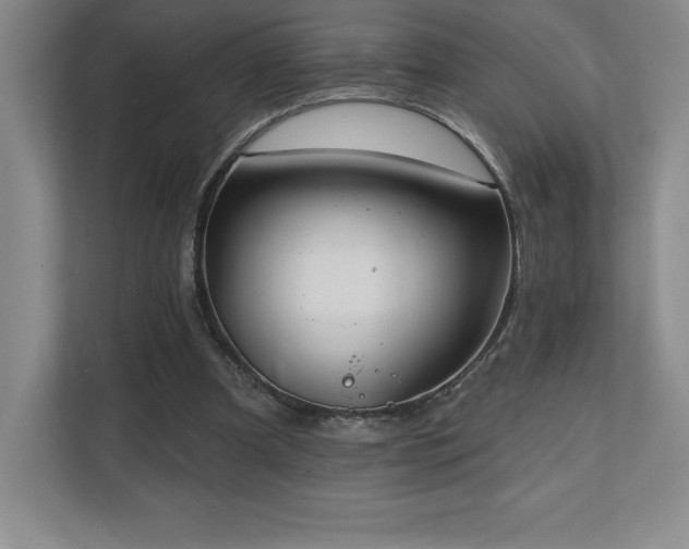 X0000111240297200907021416