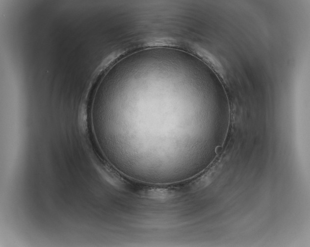 X0000111240298200907021416