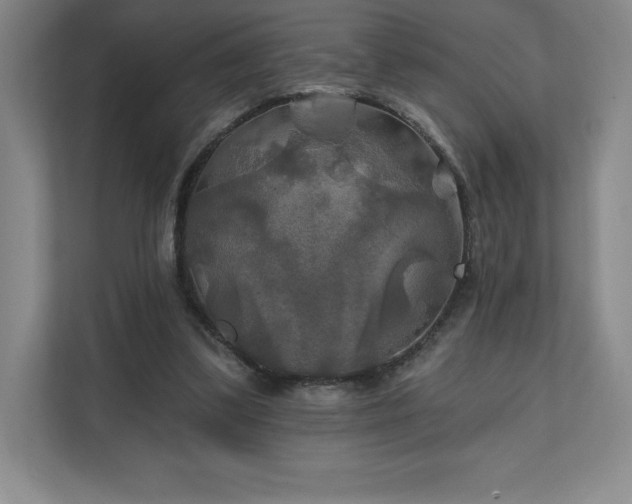 X0000111240299200907021416