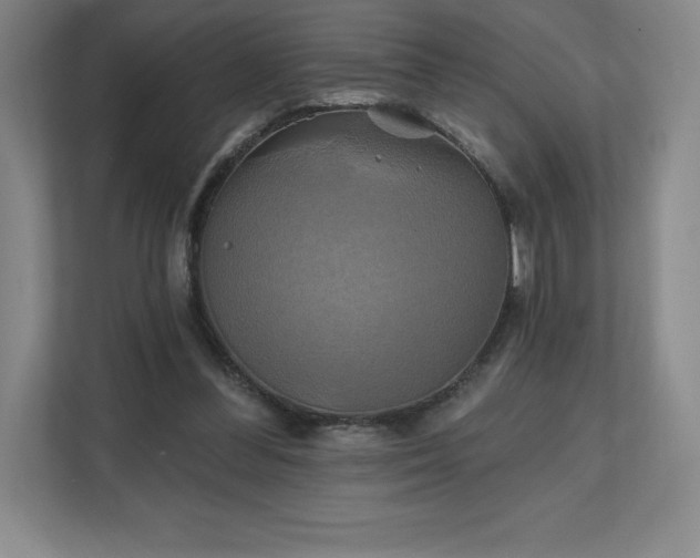 X0000111240300200907021416