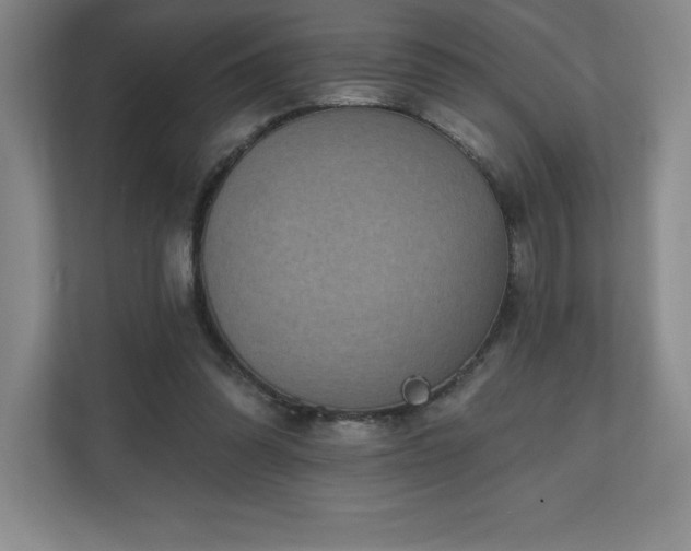 X0000111240302200907021416