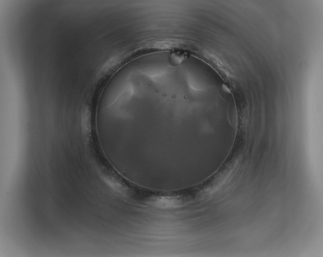 X0000111240303200907021416