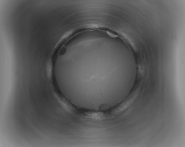 X0000111240304200907021416