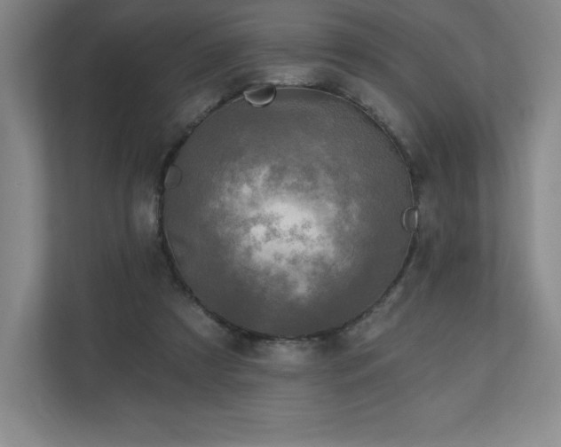 X0000111240305200907021416