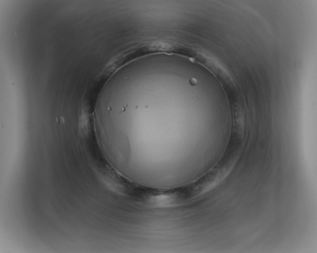 X0000111240312200907021416