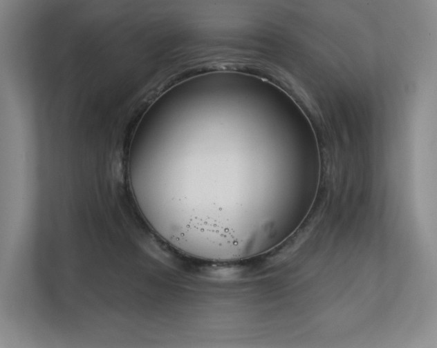 X0000111240313200907021416