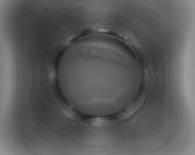 X0000111240320200907021416