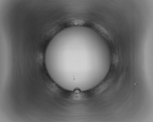 X0000111240321200907021416