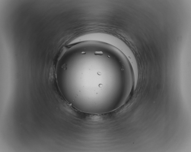 X0000111240325200907021416