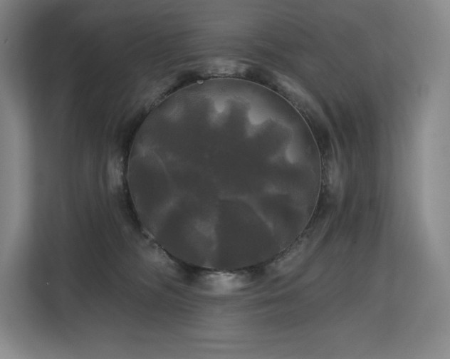 X0000111240326200907021416