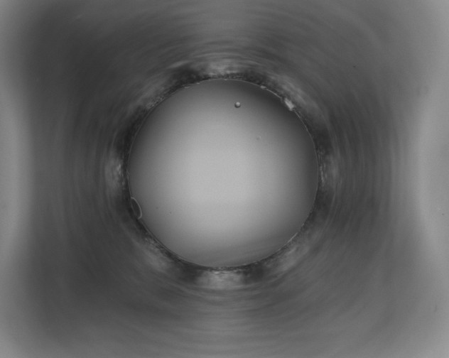 X0000111240327200907021416