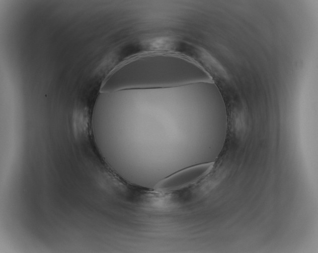 X0000111240328200907021416
