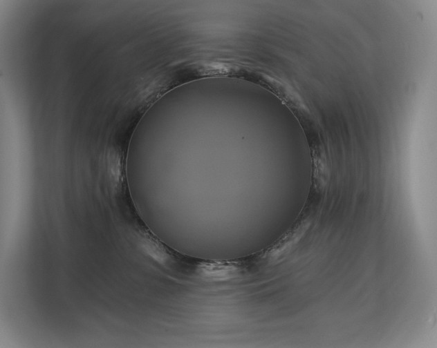 X0000111240331200907021416