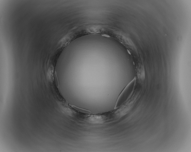 X0000111240332200907021416