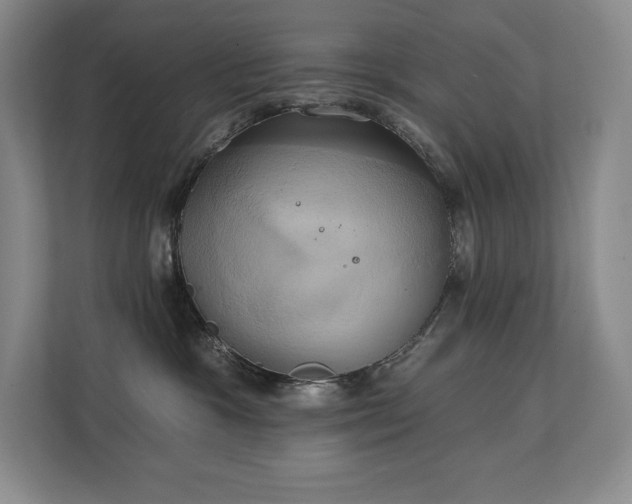 X0000111240333200907021416