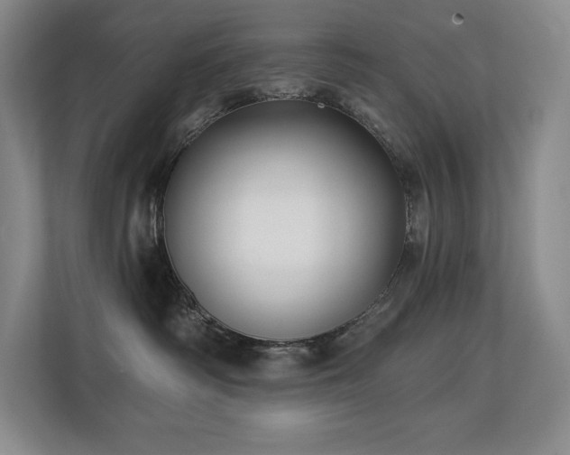 X0000111240334200907021416