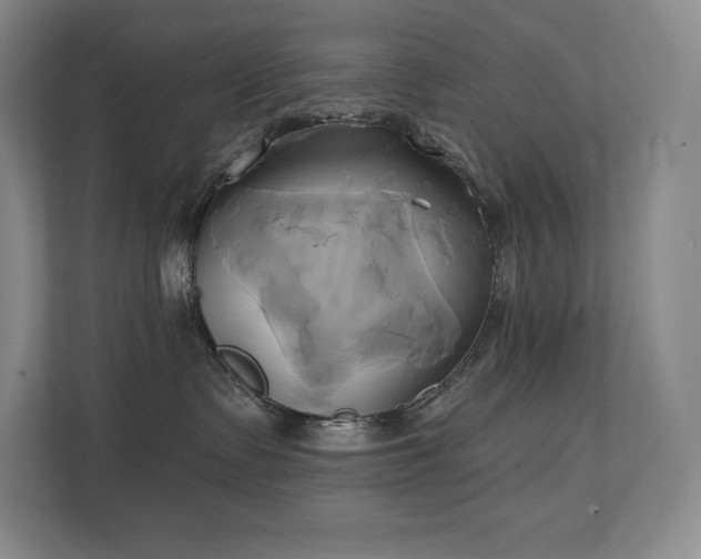 X0000111240335200907021416
