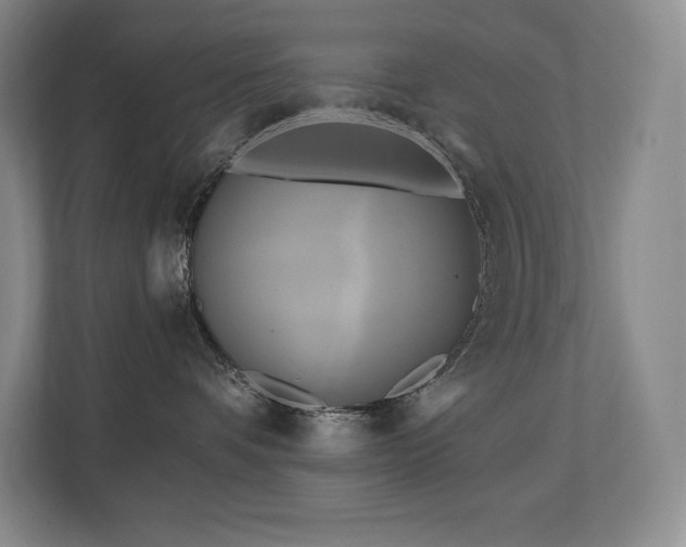 X0000111240336200907021416