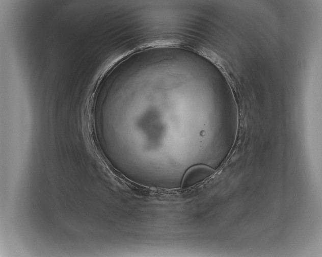 X0000111240337200907021415