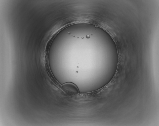 X0000111240338200907021415