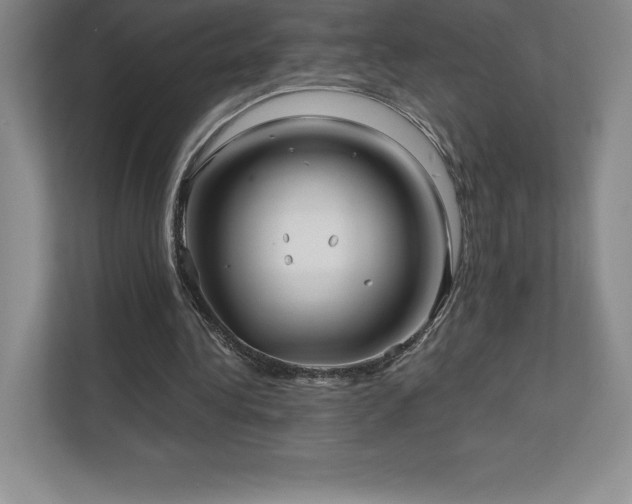 X0000111240340200907021415
