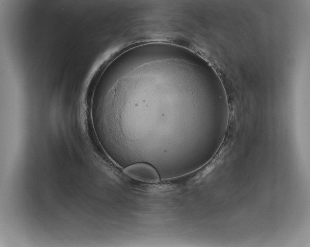 X0000111240342200907021415