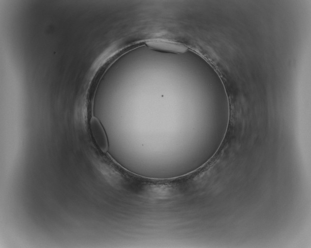 X0000111240344200907021415