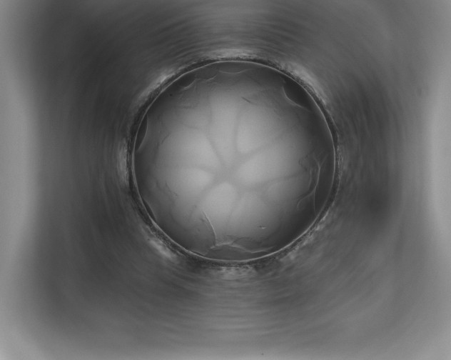 X0000111240345200907021415