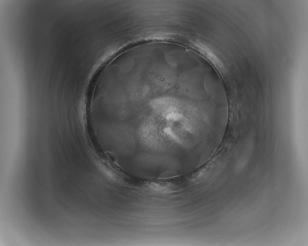 X0000111240346200907021415