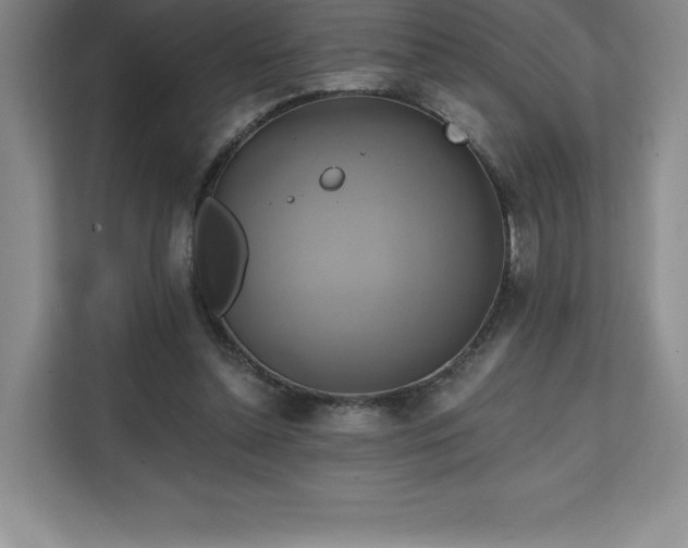 X0000111240348200907021415
