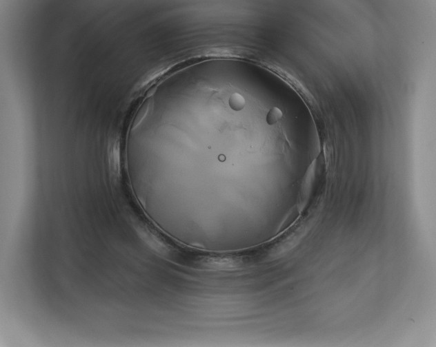 X0000111240349200907021415