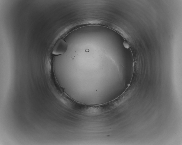 X0000111240350200907021416
