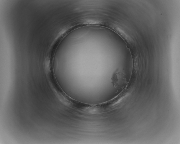 X0000111240351200907021416