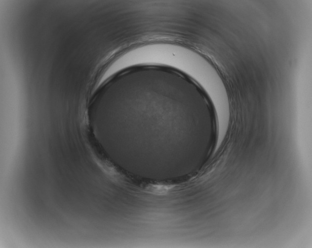 X0000111240352200907021416