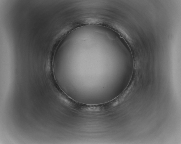 X0000111240353200907021416